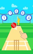 Cricket Practice скриншот 5