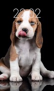 Puppy Dog Pattern Lock Screen Cute Puppy Passcode bài đăng