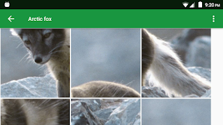 Dogs Puzzle screenshot 6