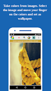 Plain Color Wallpapers Solid c screenshot 4