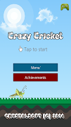 Crazy Cricket скриншот 7