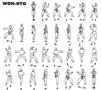 Aprendiendo el Movimiento Básico de Taekwondo Poster
