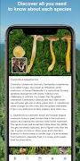 Mushroom Identify - Automatic  screenshot 2