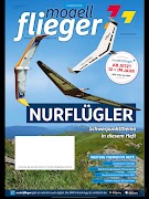 DMFV स्क्रीनशॉट 2