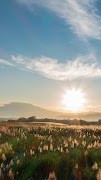 Fond d'écran du soleil capture d'écran 3