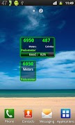 Pedometer 2.0 screenshot 1