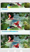Enciclopedia pájaros captura de pantalla 3