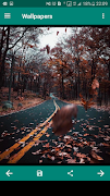 Offline HD Wallpapers 截圖 4