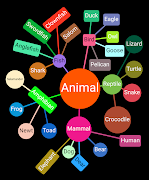 برنامه‌نما Mind Map 6 عکس از صفحه