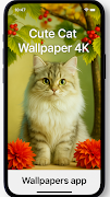 6 Schermata Cute Cat Wallpaper 4K