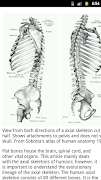 Human Anatomy Screenshot 4