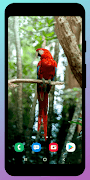 Jungle background Screenshot 4