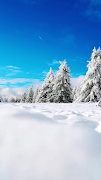 Snow Wallpaper screenshot 1