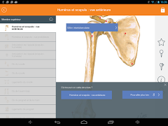 Mémofiches Anatomie Netter capture d'écran 7