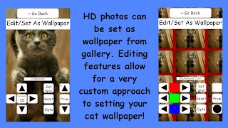 Cats & Kittens Matching Game: Free Memory Puzzles ảnh chụp màn hình 5