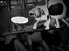 Wanted 18 screenshot 2