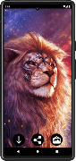Lion Wallpapers screenshot 1