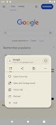 Bon Browser 截圖 1