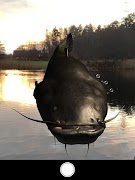 Silurus screenshot 5