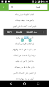 الموسوعة الشعرية 스크린샷 4