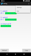 IP Pro скриншот 1