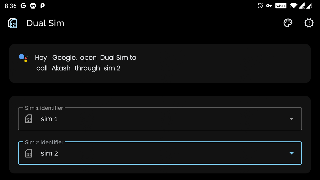 Dual Sim screenshot 2