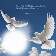 In Loving Memory Frames & Quotes plakat