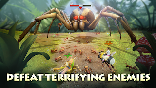 Bug Kingdom 海報