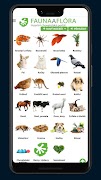 FAUNA A FLÓRA - FAUNA A FLORA 截圖 2