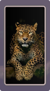Leopard Wallpaper 截图 5
