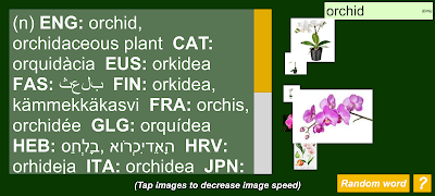 برنامه‌نما Multi Lingual Wordnet عکس از صفحه