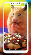 برنامه‌نما Hamster Wallpapers عکس از صفحه