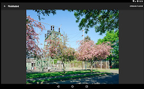 FlickRabbit imagem de tela 4