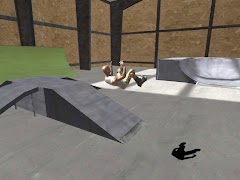 Aggressive Inline Skating 截圖 5