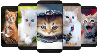 Kitten & Cute Cat Wallpaper HD screenshot 4
