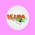 Se Liga Rádios BR