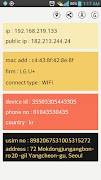Simple IP Config Display screenshot 1