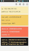 Simple IP Config Display screenshot 1