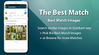 برنامه‌نما Reverse Image Search عکس از صفحه