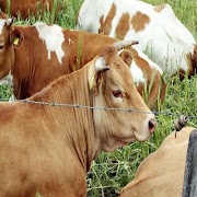 Organic Farming Updates poster