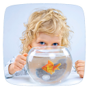 How to Care for Aquarium Fish APK