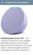 Poster Amazon Echo Pop Guide