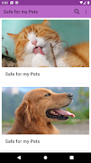 Safe For My Pet poster