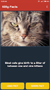 Kitty Facts পোস্টার