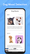 3 Schermata AI based Dog Breed Identifier