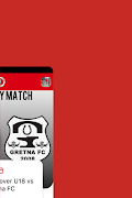 Greystone Rovers スクリーンショット 3