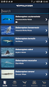 1 Schermata WhaleGuide
