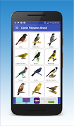 Canto de Pássaros Brasileiros plakat