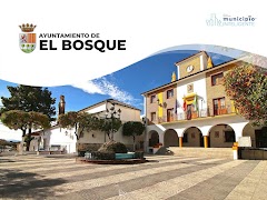 El Bosque screenshot 4
