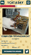 1 Cat a Day تصوير الشاشة 1